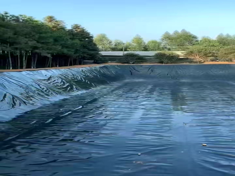 1780623846500516.jpg 2.jpg